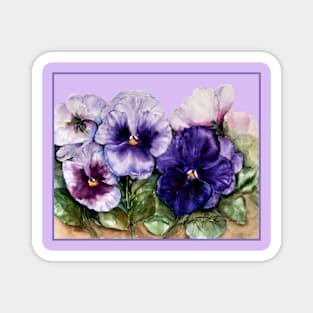 Pansy Flower in Purple Magnet