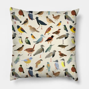 Great collection of birds illustrations Pillow