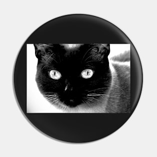 Siamese cat, black and white Pin