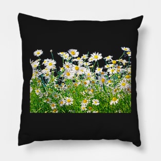 Daisy Pillow