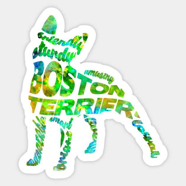 Boston Terrier Boston Terrier Sticker Teepublic Au