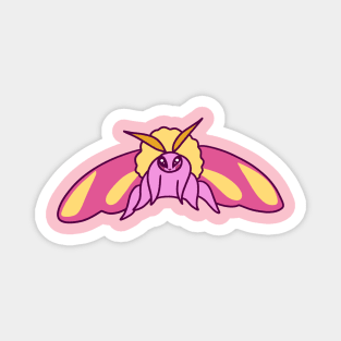 Rosy Maple Moth Magnet