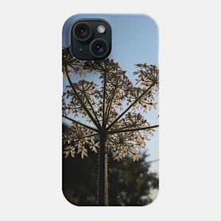 Summer Field Phone Case