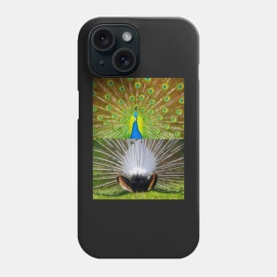 Peacock feather display Phone Case