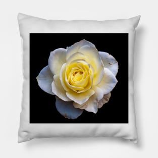 White Rose Pillow