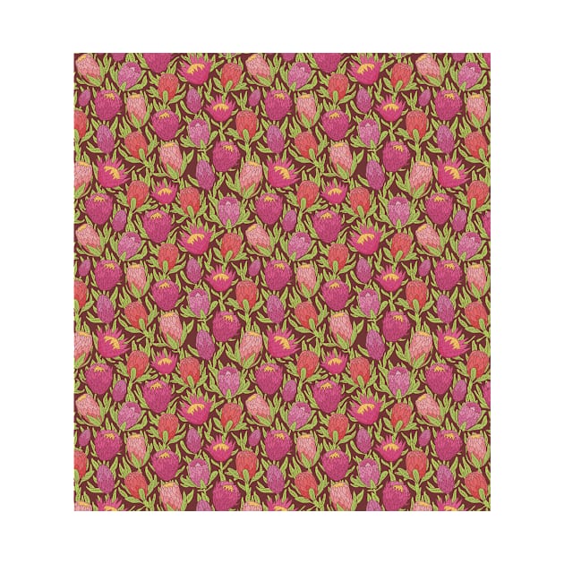 Pink protea flowers with green leaves on brown background by PinataFoundry