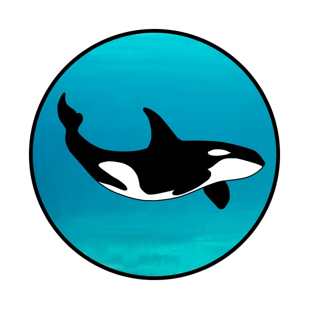 Orca by PaleoFantasies