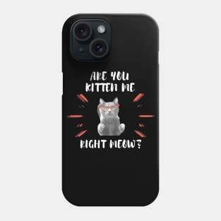 Are you Kitten Me Right Neow Phone Case