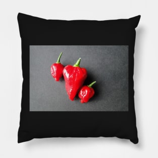 Seriously Hot Stuff Pillow