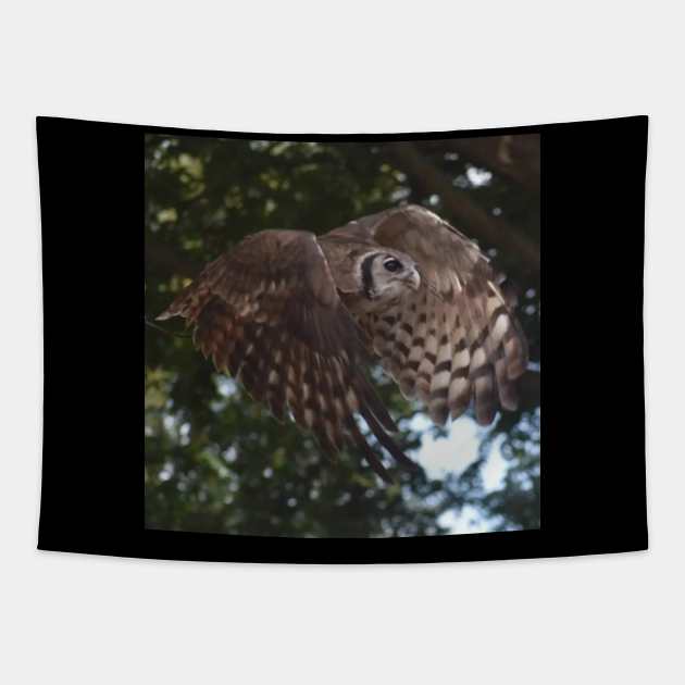 Milky Eagle Owl Tapestry by Sharonzoolady