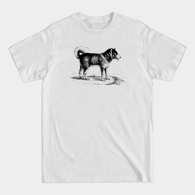 Discover Husky Dog Scientific Drawing - Husky - T-Shirt