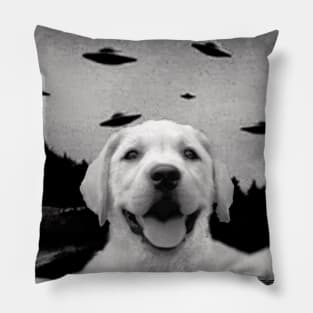 Funny UFO Selfie Labrador Retriever Pillow