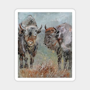 Buffaloes Magnet