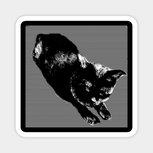 Graphic Black Cat Magnet