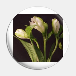 White Flower Closeup 2 Pin