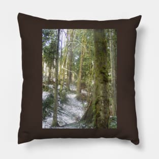 Forest Sun Rays in the Snow #54 Pillow