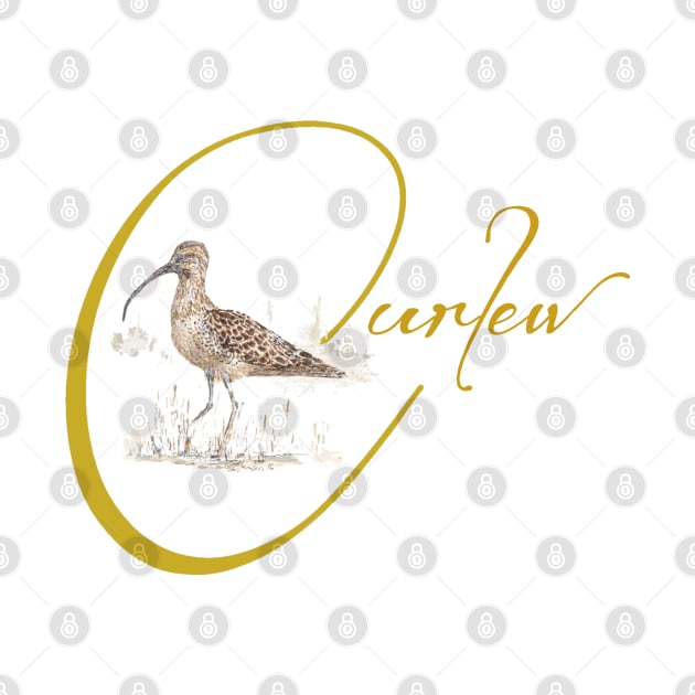 C is for Curlew by jellygnomes