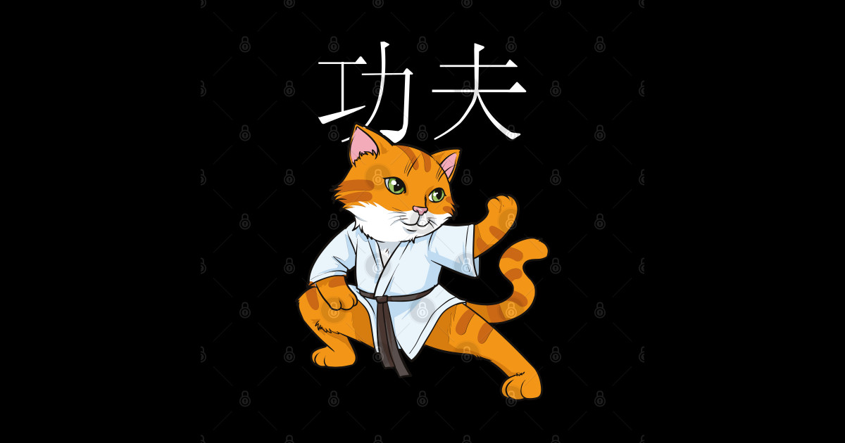 Kawaii Kung Fu Cat Chinese Hanzi Kung Fu Kung Fu Cat Kids TShirt TeePublic
