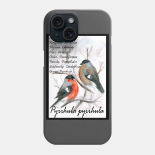 Bullfinch Phone Case