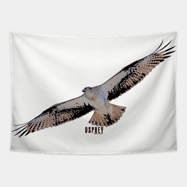 Osprey_02 Tapestry by seadogprints