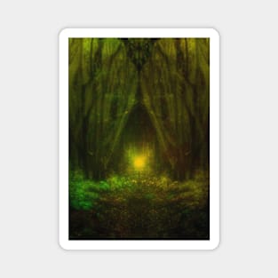 Special processing. Trail to the dark forest, where monster live. There light there. Yellow and green. Magnet