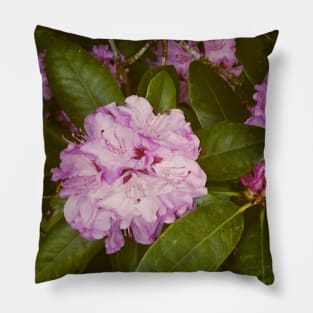 The Magical Secret Garden Pillow