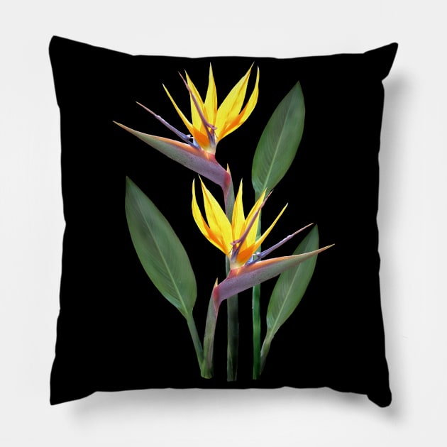 Strelitzia a Tropical Flower in Kenya - Africa Pillow by T-SHIRTS UND MEHR