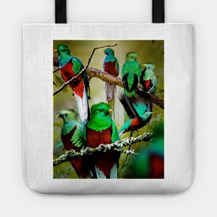 Quetzal Tote