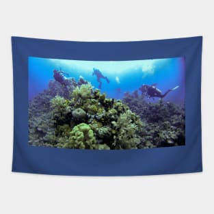 THE DIVE GUIDE Tapestry