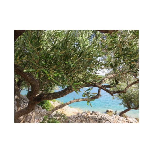 Mediterranean Sea Coast with Olive Tree Photo by OneLook