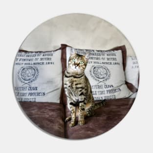 Savannah Cat 1 / Swiss Artwork Photography Pin