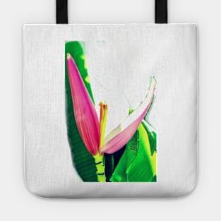 Banana Flower (Musa velutina) Tote