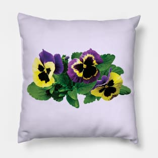 Yellow and Purple Pansy Trio Pillow