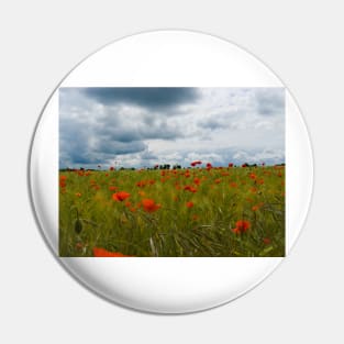 Poppy Field Pin