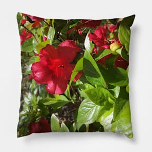 A Jungle of Red Azaleas Pillow