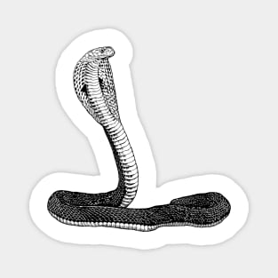 Snake lover - cobra Magnet