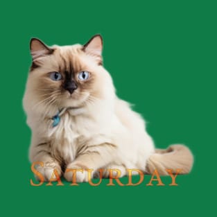 Saturday Cat!. Enjoy it (the saturday and the cat) T-Shirt