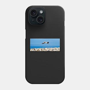 gannet flying over colony, Phone Case