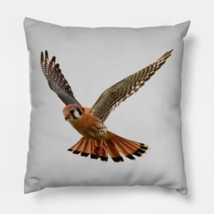 Kestrel Pillow