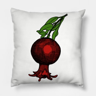 Pomegranate Pillow