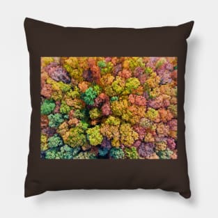 Aerial view of colorful autumn forest Pillow