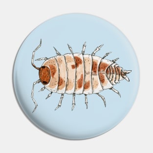 Porcellionides pruinosus "Orange Cream" Isopod Pin