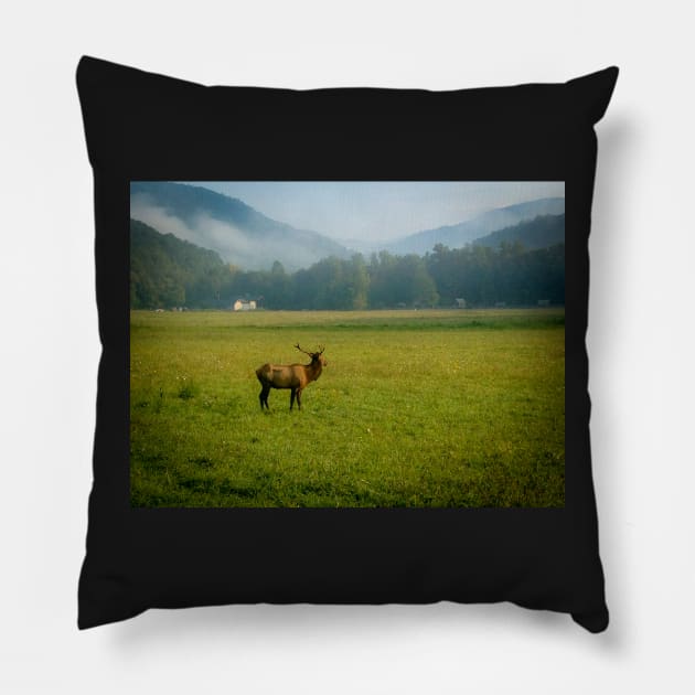 Elk in the Valley Pillow by Ckauzmann