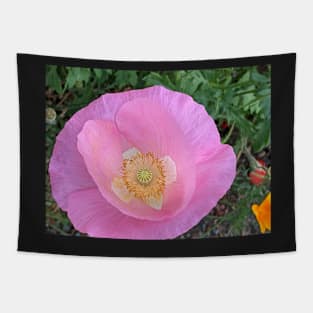 Pink poppy Tapestry