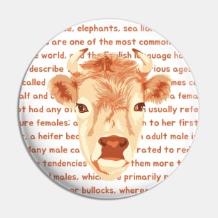 Cow Portrait and Information Pin