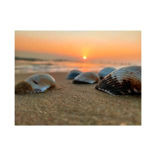 Seashell in the sand with the shining of the T-Shirt