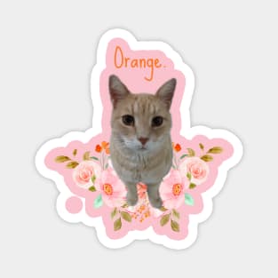 Orange Magnet