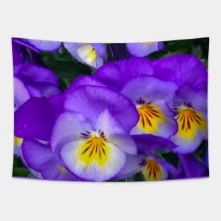 Pansies Tapestry