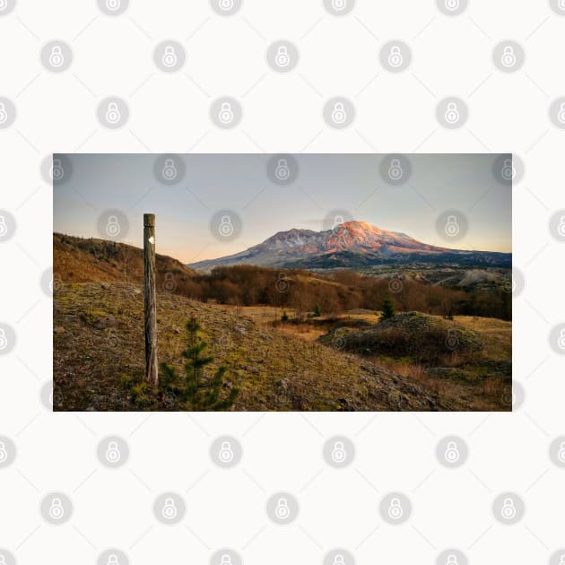 Mt St Helens Trail Marker by Rebekah Slick