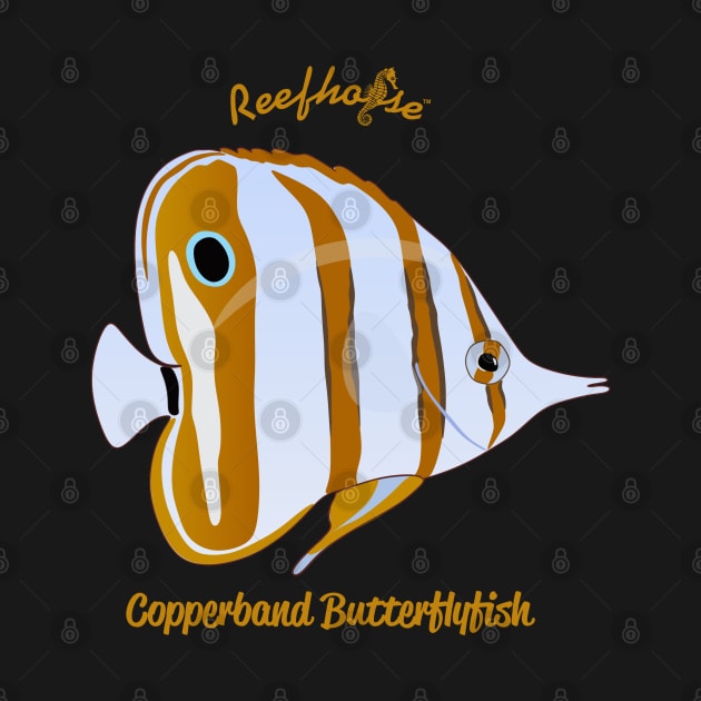 Copperband Butterflyfish by Reefhorse